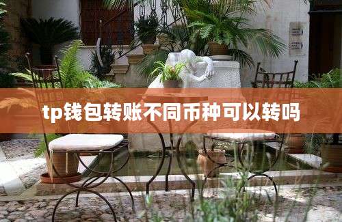 tp钱包转账不同币种可以转吗