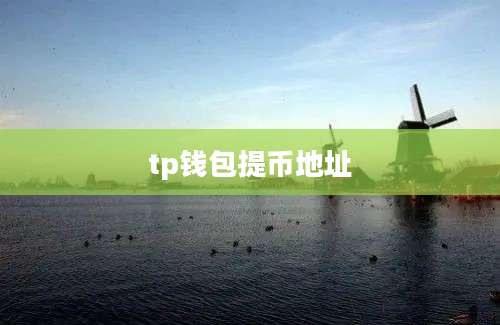 tp钱包提币地址