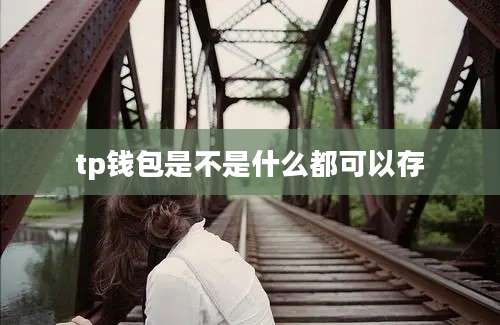 tp钱包是不是什么都可以存