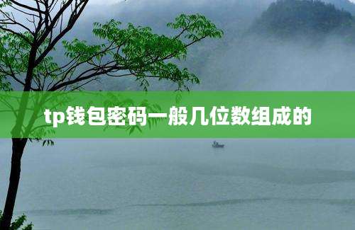 tp钱包密码一般几位数组成的