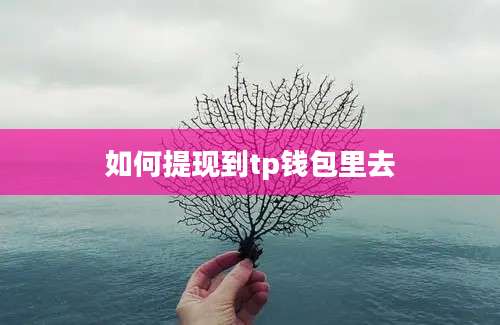 如何提现到tp钱包里去