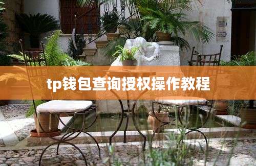 tp钱包查询授权操作教程