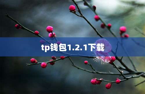 tp钱包1.2.1下载