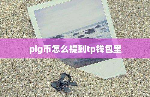pig币怎么提到tp钱包里