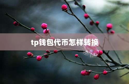 tp钱包代币怎样转换