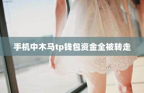 手机中木马tp钱包资金全被转走