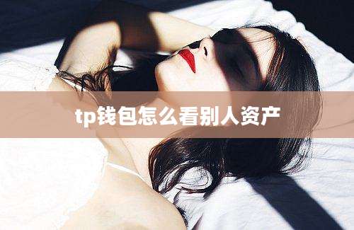 tp钱包怎么看别人资产