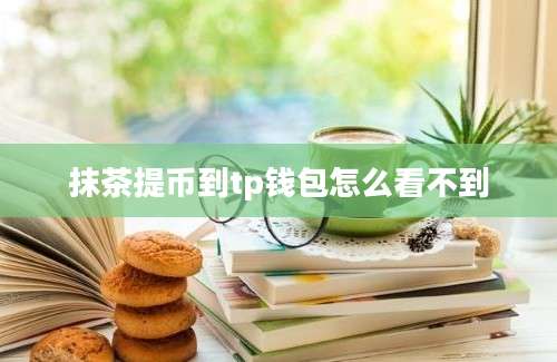 抹茶提币到tp钱包怎么看不到