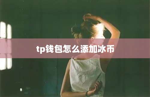 tp钱包怎么添加冰币