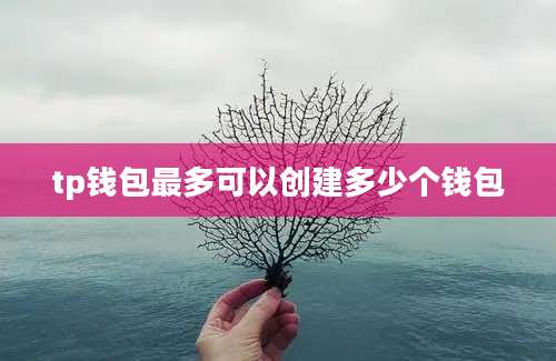 tp钱包最多可以创建多少个钱包
