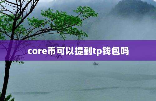 core币可以提到tp钱包吗