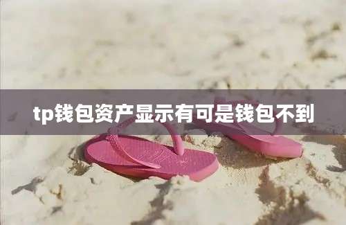 tp钱包资产显示有可是钱包不到