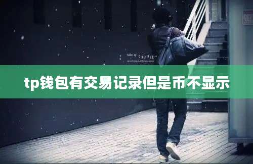 tp钱包有交易记录但是币不显示