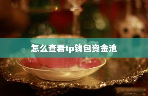 怎么查看tp钱包资金池