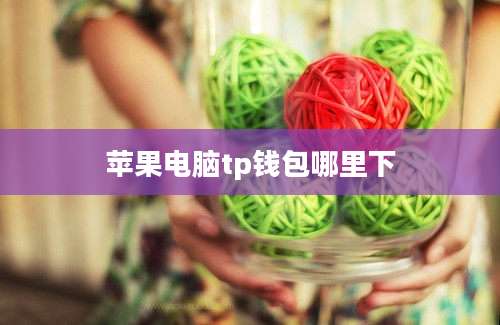 苹果电脑tp钱包哪里下