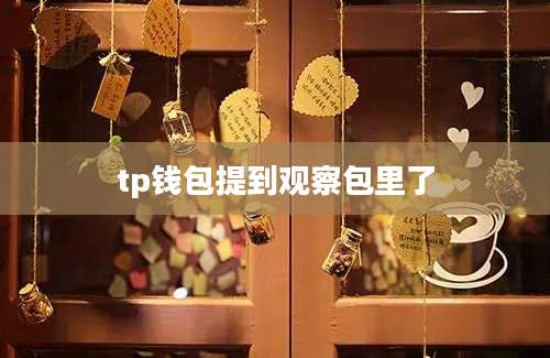 tp钱包提到观察包里了