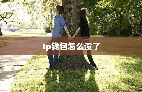 tp钱包怎么没了