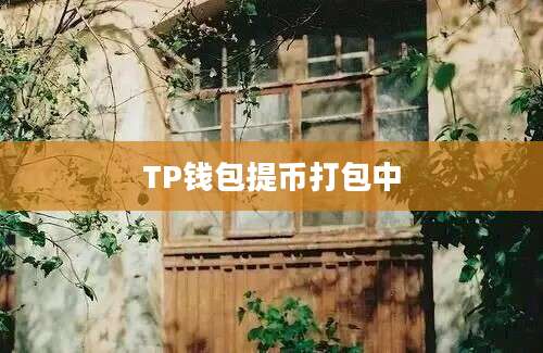 TP钱包提币打包中