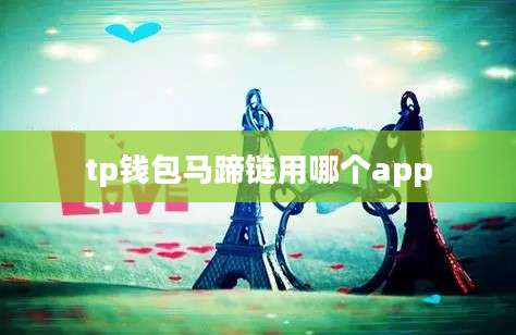 tp钱包马蹄链用哪个app