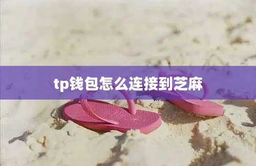 tp钱包怎么连接到芝麻