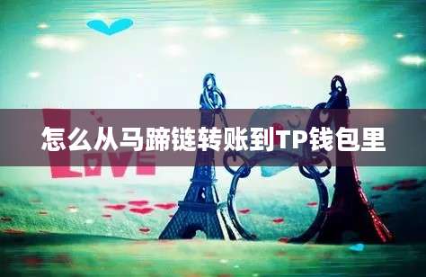怎么从马蹄链转账到TP钱包里