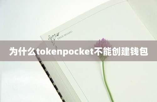 为什么tokenpocket不能创建钱包