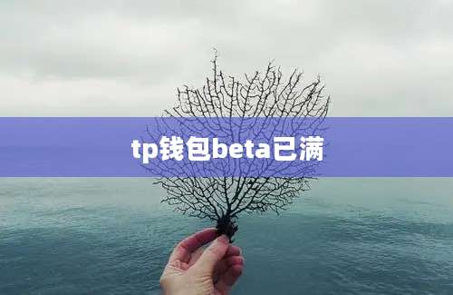 tp钱包beta已满