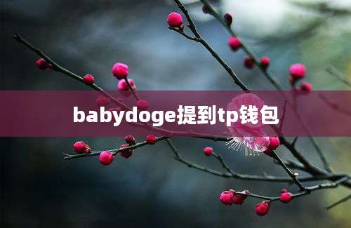 babydoge提到tp钱包