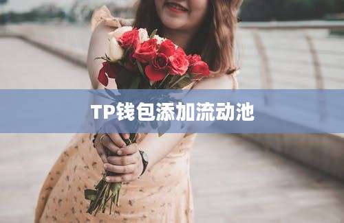 TP钱包添加流动池