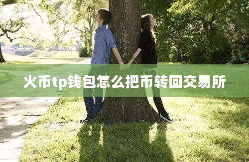 火币tp钱包怎么把币转回交易所