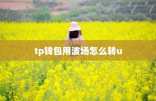 tp钱包用波场怎么转u
