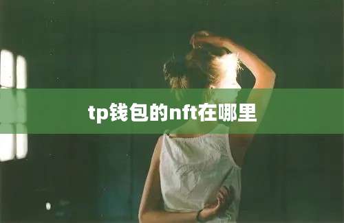 tp钱包的nft在哪里