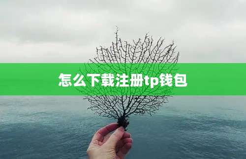 怎么下载注册tp钱包