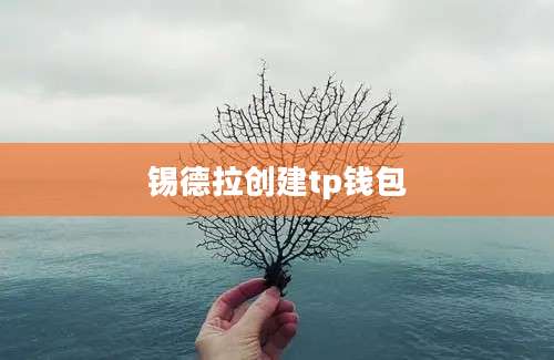 锡德拉创建tp钱包