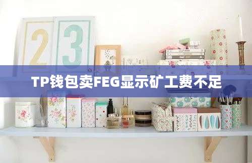 TP钱包卖FEG显示矿工费不足