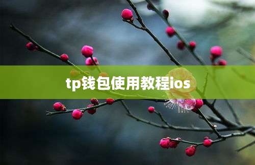 tp钱包使用教程ios