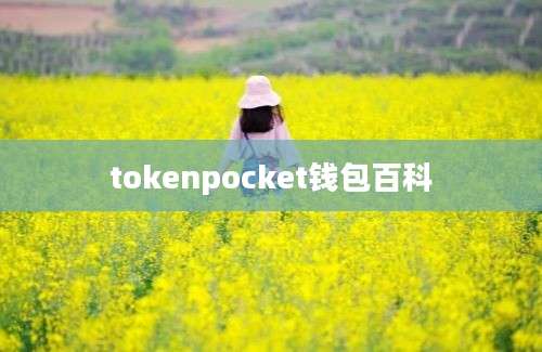tokenpocket钱包百科