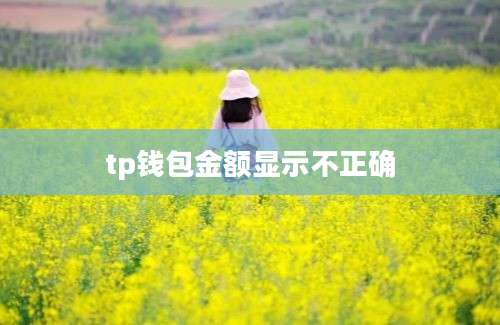 tp钱包金额显示不正确