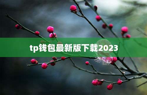 tp钱包最新版下载2023