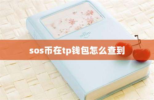 sos币在tp钱包怎么查到