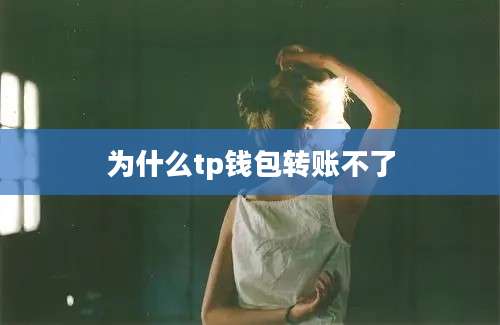 为什么tp钱包转账不了
