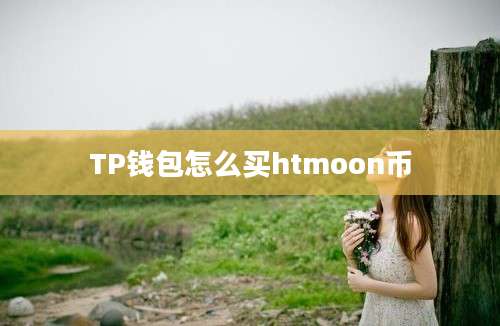 TP钱包怎么买htmoon币