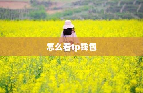 怎么看tp钱包