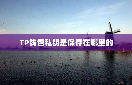 TP钱包私钥是保存在哪里的