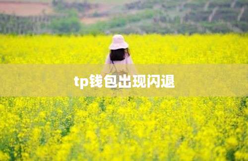 tp钱包出现闪退