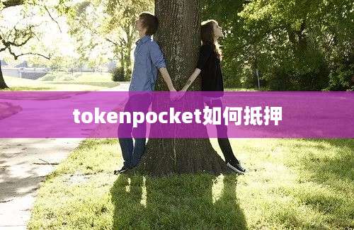 tokenpocket如何抵押