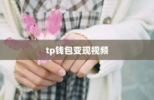 tp钱包变现视频