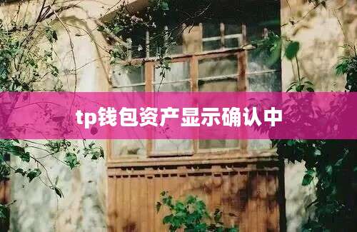 tp钱包资产显示确认中