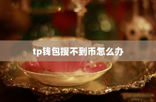 tp钱包搜不到币怎么办
