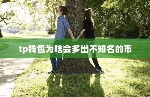 tp钱包为啥会多出不知名的币